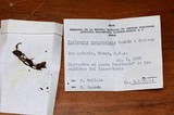 Psilocybe tampanensis image