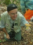 Amanita caesarea image