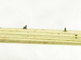 Acrospermum graminum image