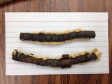 Irpex lacteus image