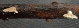 Crepidotus variabilis image