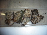Hypochnicium geogenium image