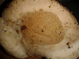 Inonotus dryadeus image