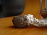 Amanita gilbertii image