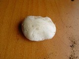 Amanita gilbertii image