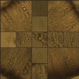 Lecanora carpinea image