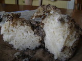 Peziza proteana f. proteana image