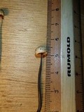 Poronia pileiformis image