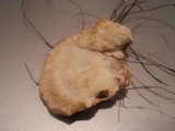 Trametes pubescens image