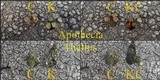 Ochrolechia parella image