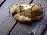 Fomitopsis officinalis image