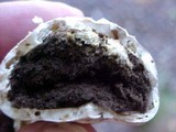 Gastropila fumosa image