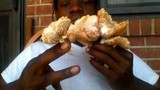 Pluteus petasatus image