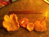 Pluteus petasatus image