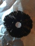 Panaeolus cinctulus image