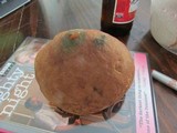 Boletus pseudopinophilus image