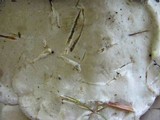 Fomitopsis schrenkii image