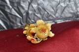 Calostoma lutescens image