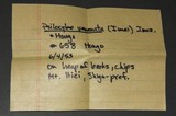 Psilocybe subaeruginascens image