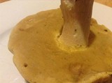 Boletus nobilis image