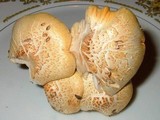 Neolentinus lepideus image