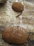 Reticularia lycoperdon image