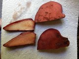 Fistulina hepatica image