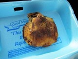 Piptoporus quercinus image