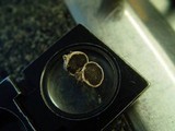 Scleroderma bovista image