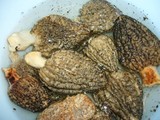 Morchella importuna image