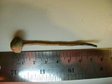 Panaeolus bisporus image