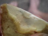 Boletus subcaerulescens image