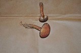 Suillus spraguei image