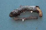 Flammulaster fusisporus image