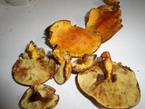 Pholiota multifolia image