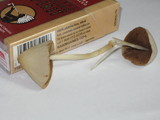 Conocybe apala image