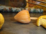Entoloma quadratum image