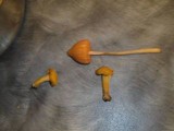 Entoloma quadratum image