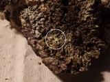 Physconia perisidiosa image