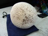 Amanita subcokeri image