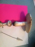 Amanita polypyramis image