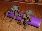 Pseudocraterellus calyculus image