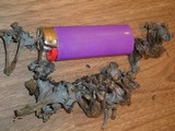 Pseudocraterellus calyculus image