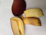 Boletus auripes image