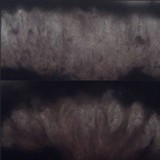 Arthonia cinnabarina image