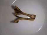 Cantharellus melanoxeros image