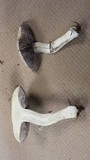 Stropharia coronilla image