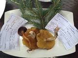 Suillus umbonatus image