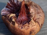 Fistulina hepatica image
