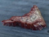 Fistulina hepatica image